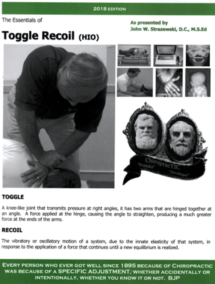ターグルリコイル The Essential of Toggle Recoil The Essentials of Toggle Recoil (HIO) | Titronics Research